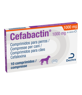 CEFABACTIN CPR