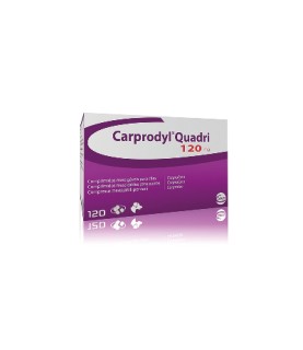 CARPRODYL CPR