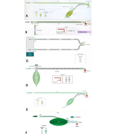 CIRCUITO MAPLESON F COASS.MT.1,8--0,5 L