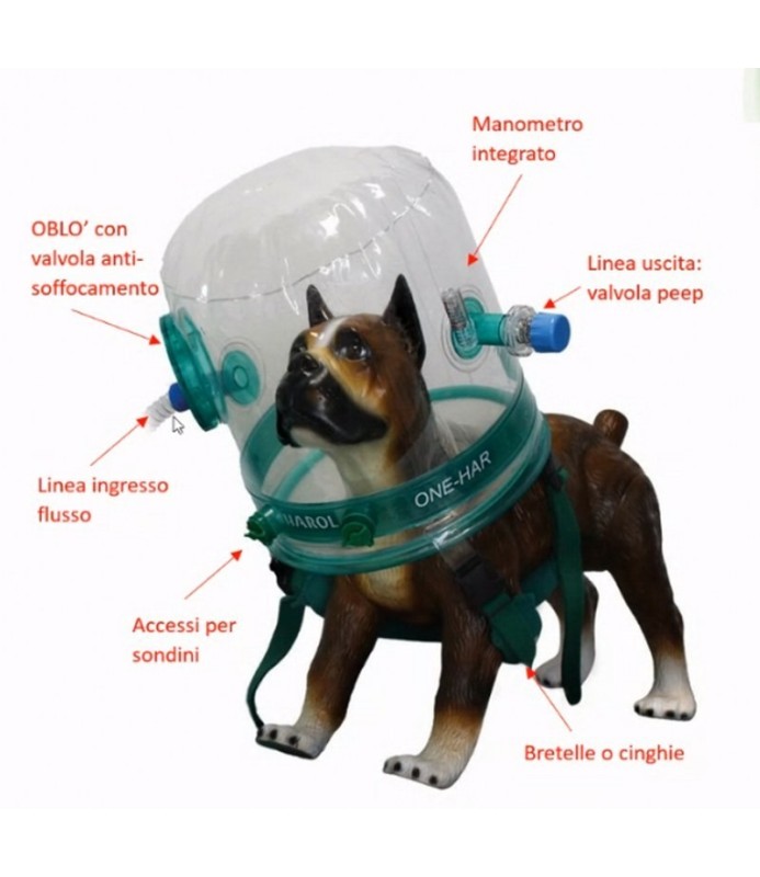 Caschi per terapia CPAP