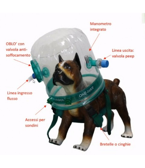 Caschi per terapia CPAP