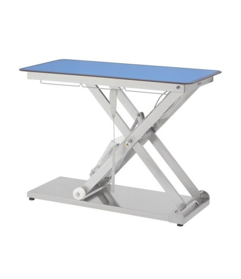 Tavolo da Visita Elettrico a Batteria con ruote