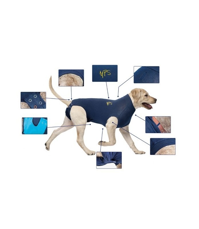 BODY COTONE CANI 4XS