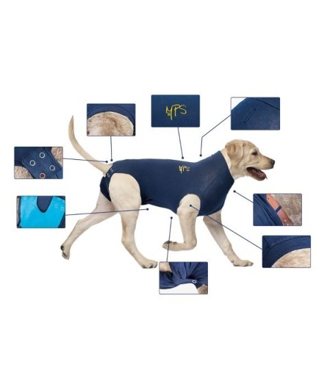 BODY COTONE CANI 4XS