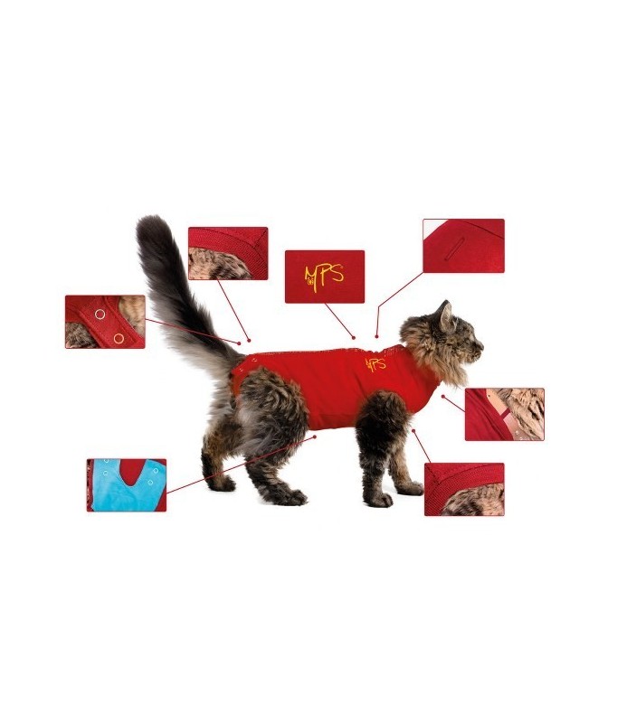 BODY COTONE CANI 4XS