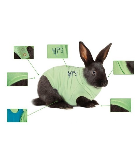 BODY COTONE CANI 4XS