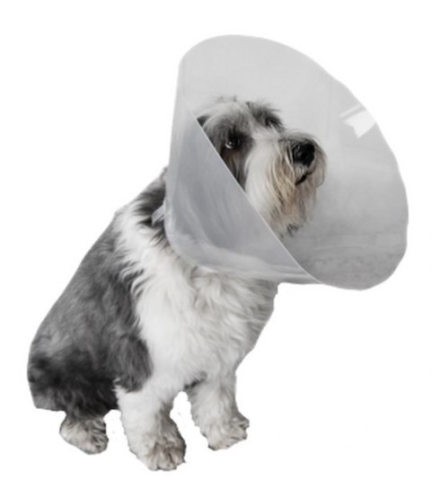 Collare Curavet cani e gatti