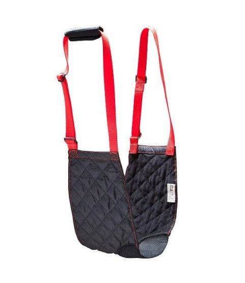 FINIMENTO CANI INVALIDI UNIVERSALE TREN