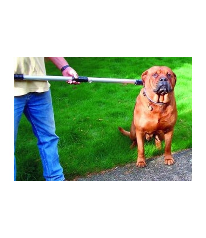 FRUSTONE ACCALAPPIACANI CM.110-CANI AGG