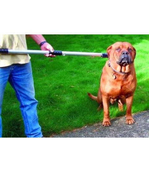 FRUSTONE ACCALAPPIACANI CM.110-CANI AGG