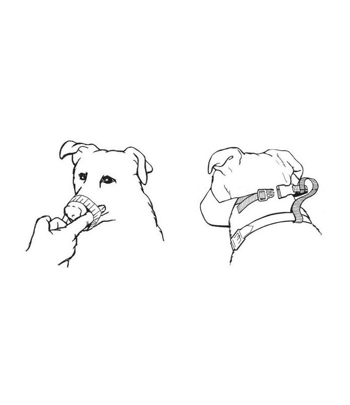 MUSERUOLA CANI NYLON N.0