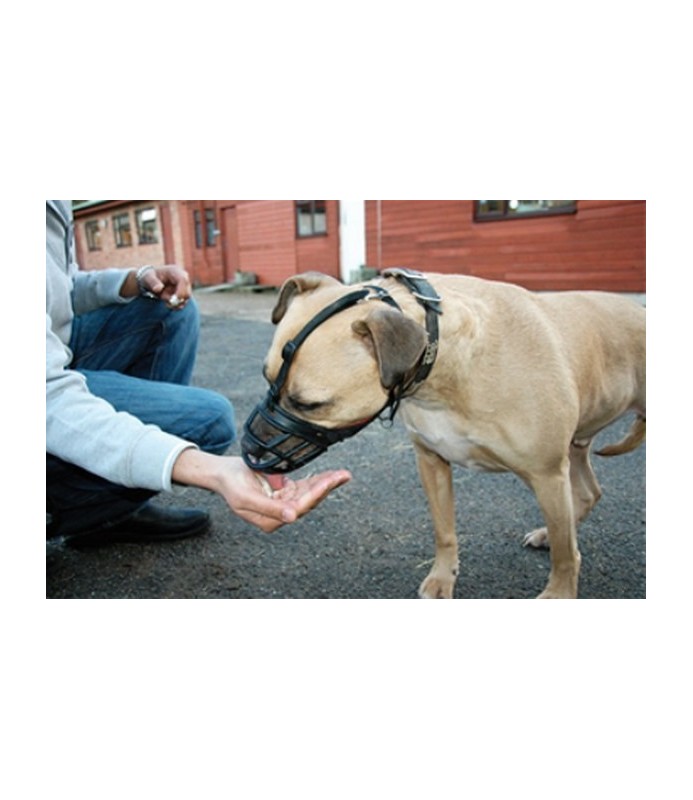 MUSERUOLA CANI BASKERVILLE N. 1