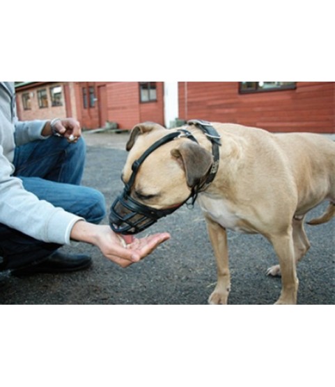 MUSERUOLA CANI BASKERVILLE N. 1