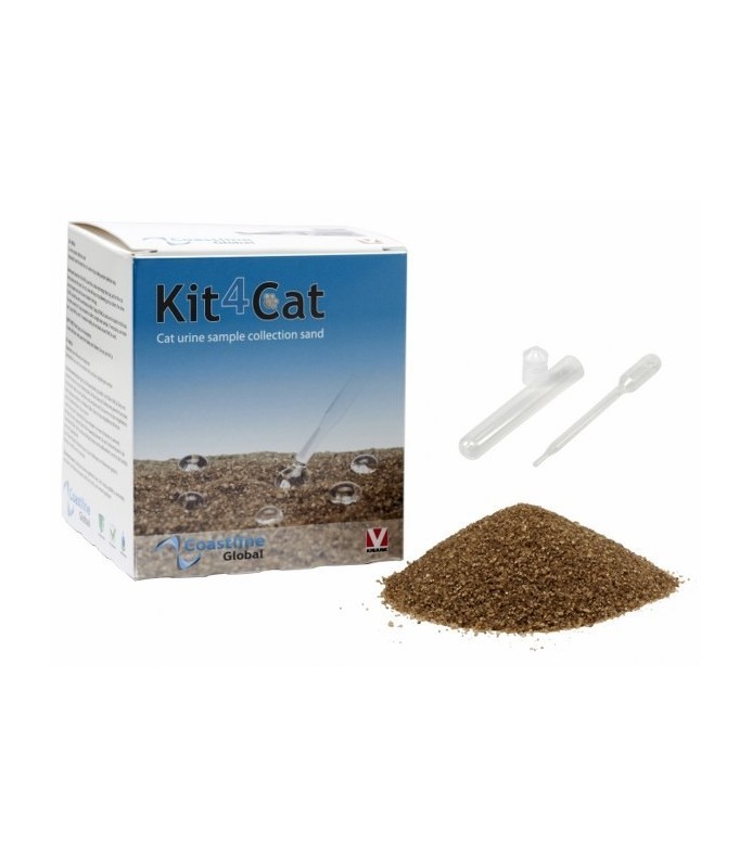Sabbia raccolta urine gatto