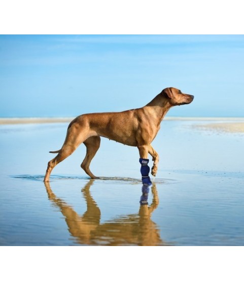 SCARPA CALZA MPS P.A. TG. XS