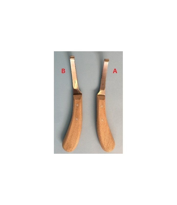 CURASNETTA AF INOX ECONOM DESTRA