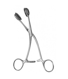 PINZA YOUNG AF UTERO G.A.CM.27 CURVA