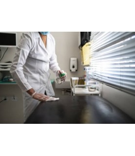 DISINF.LH DECS AMBIENTE PLUS   X 1  LT