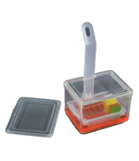 Vasca colorazione vetrini...