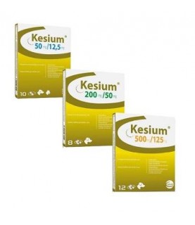 KESIUM