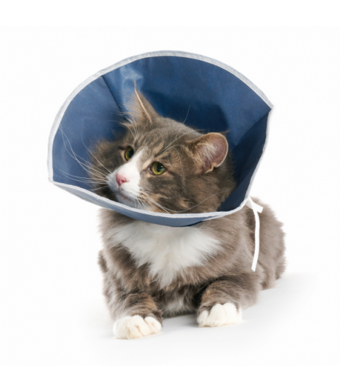 Collare Buster Soft cani e gatti