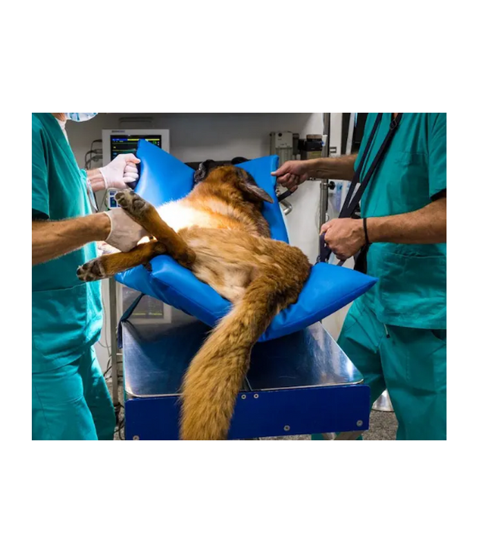 Materassino per barella HELP.VET