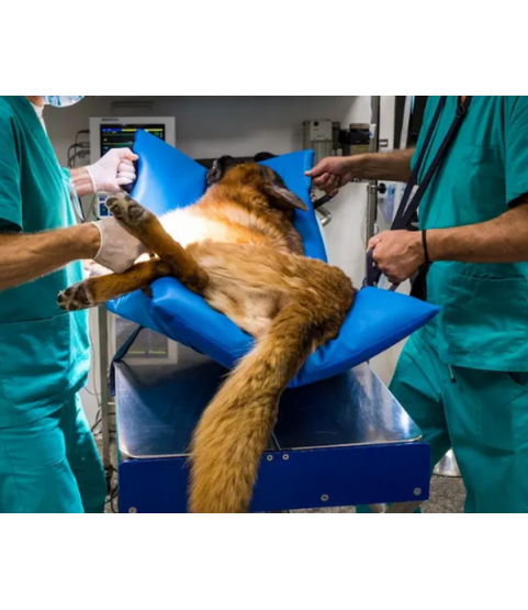 Materassino per barella HELP.VET