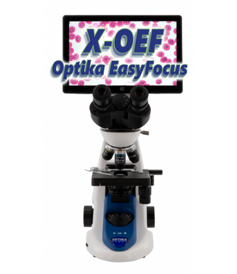 MICROSCOPIO OPTIKA BIOC.B159 OB.ACROM.