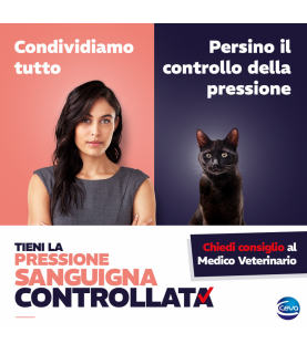 Sfigmomanometro Pettrust