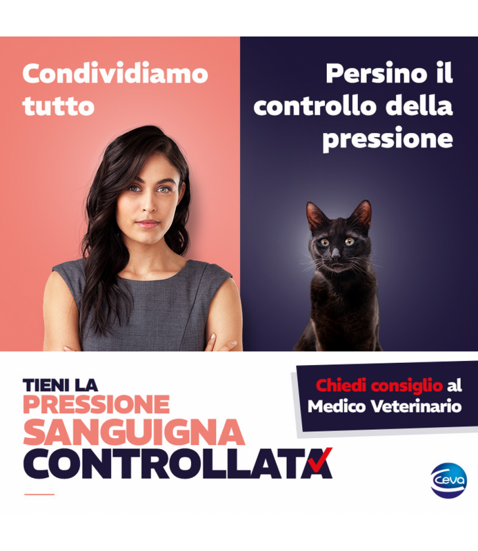 Sfigmomanometro Pettrust