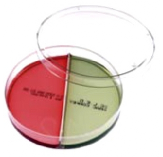 Piastre DTM Agar / Sabouraud Dextrose Agar