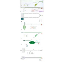 CIRCUITO MAPLESON F COASS.MT.1,8--0,5 L
