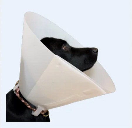 Collare Curavet cani e gatti