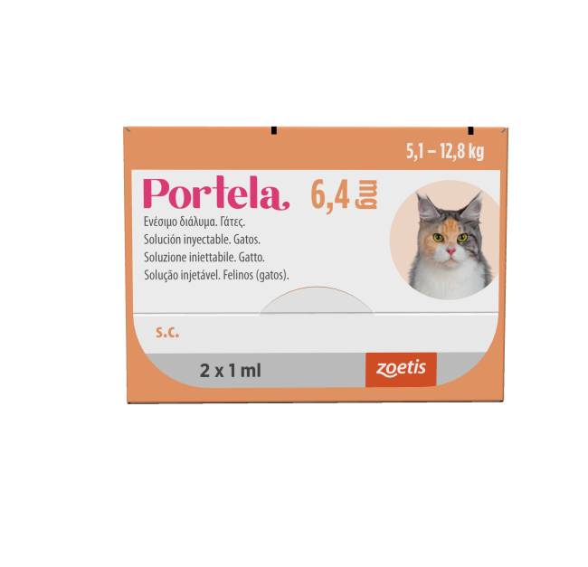 PORTELA INJ