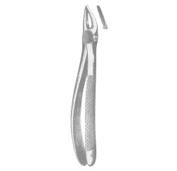 Tenaglia estrazione denti universale