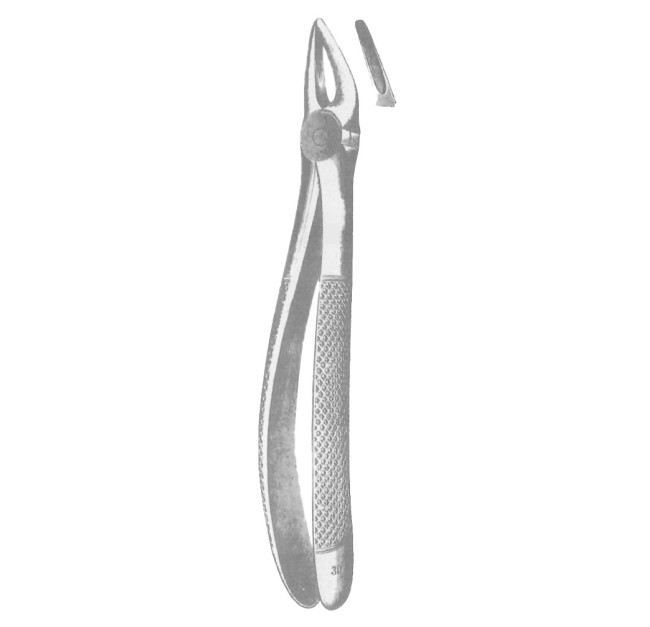 Tenaglia estrazione denti universale