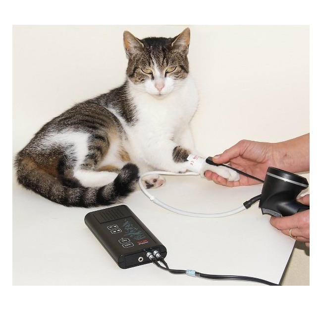 Doppler Vet PB - accessori