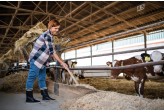 Unifeed