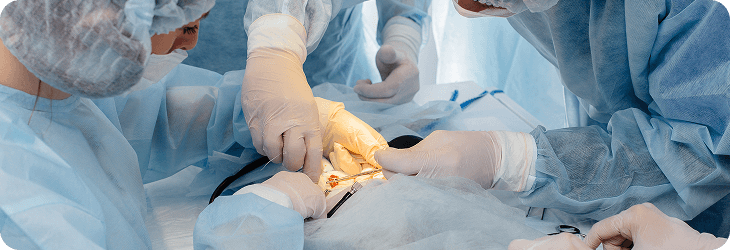 Area Clinica e Chirurgia