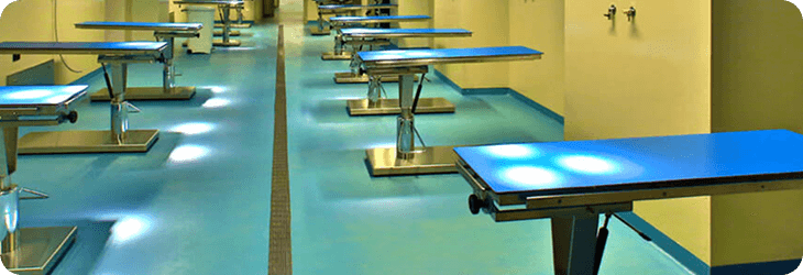 Struttura e Accessori