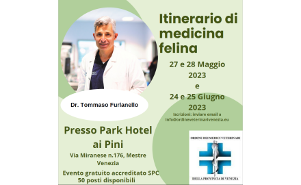 ITINERARIO DI MEDICINA FELINA