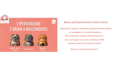 Campagna Ipertensione felina 2026