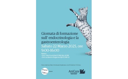 Giornata di formazione sull' endocrinologia e la gastroenterologia