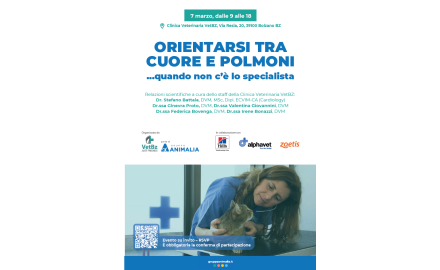 ORIENTARSI TRA CUORE E POLMONI QUANDO NON C'E' LO SPECIALISTA