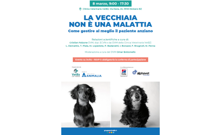 LA VECCHIAIA NON È UNA MALATTIA "Come gestire al meglio il paziente anziano"