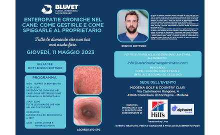 ENTEROPATIE CRONICHE NEL CANE: COME GESTIRLE E COME SPIEGARLE AL PROPRIETARIO. TUTTE LE DOMANDE CHE NON HAI MAI OSATO FARE